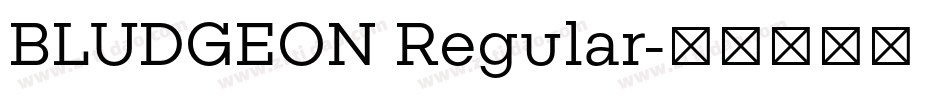 BLUDGEON Regular字体转换